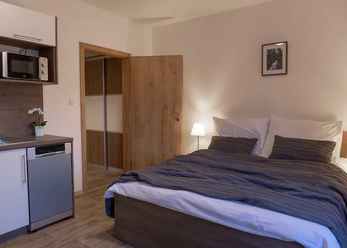 بيت ضيافة George Špindlerŭv Mlýn